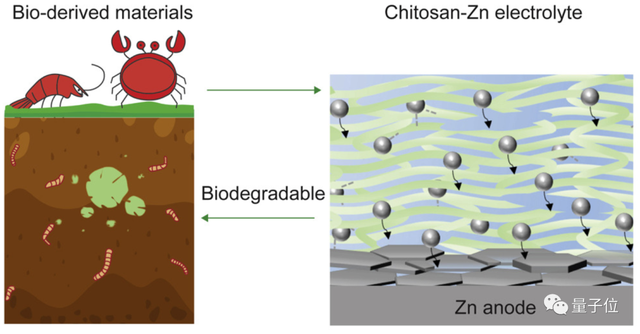 华人小哥用蟹壳做电池，5个月内就能完全降解，循环利用千余次后能效仍高达99.7%
