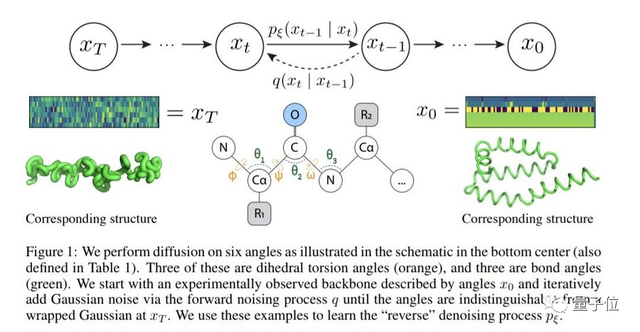 妙啊！用扩散模型生成蛋白质结构，结果不输天然蛋白质｜来自斯坦福&微软