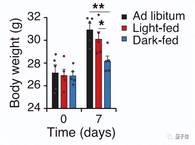 Science：只要跟着生物钟吃，就没那么容易胖