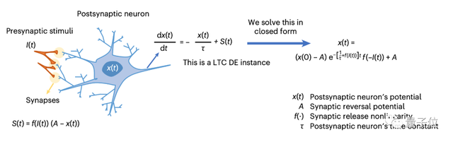 百年微分方程难题被解决！神经元相互作用方式有了解析解描述，作者：可以模拟大脑动力学了 | MIT