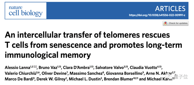 减缓衰老，让T细胞染色体变长就行，还能提高免疫力｜Nature子刊
