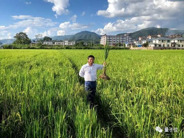 Science年度十大科学突破出炉：韦伯望远镜高居榜首，AIGC、NASA主动撞击小行星紧随其后