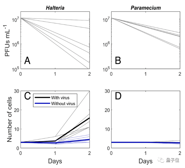 首次发现！科学家找到「专吃病毒」的生物，网友：能消除人体内病毒吗？｜PNAS