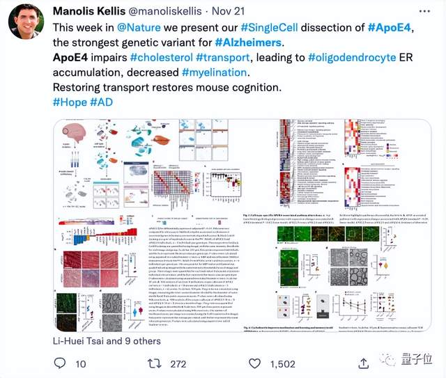 哪种人更易患老年痴呆？MIT团队揭示阿兹海默症背后的基因机制｜Nature