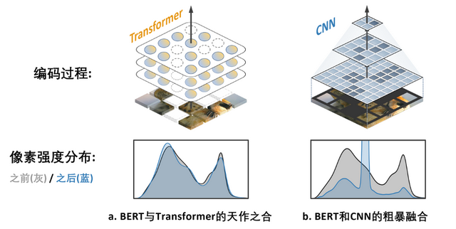 BERT在CNN上也能用？字节跳动研究成果中选ICLR 2023 Spotlight