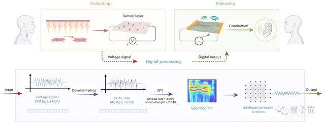 清华可穿戴智能喉登Nature子刊，实测准确率90%+，网友：@李雪健老师