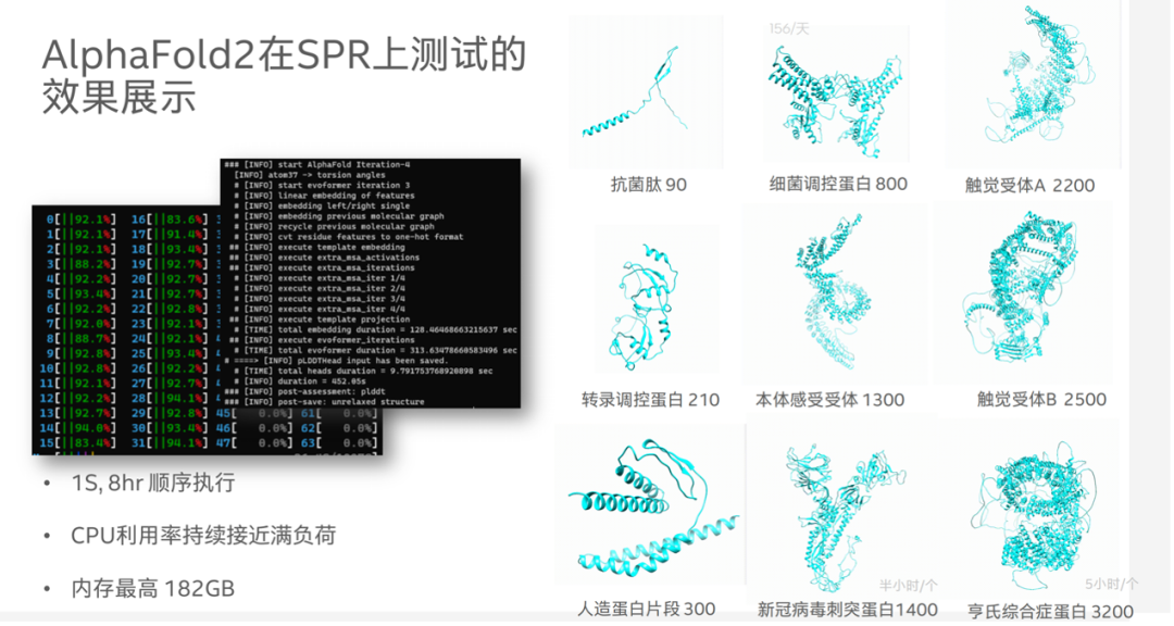 预测超长蛋白质这事，CPU赢了