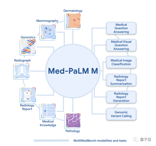 清华校友立功！谷歌发布首个全科医疗大模型，14项任务SOTA