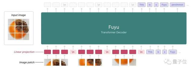 Transformer一作来卷多模态！学术图表也能看懂，100毫秒极速响应｜免费试玩