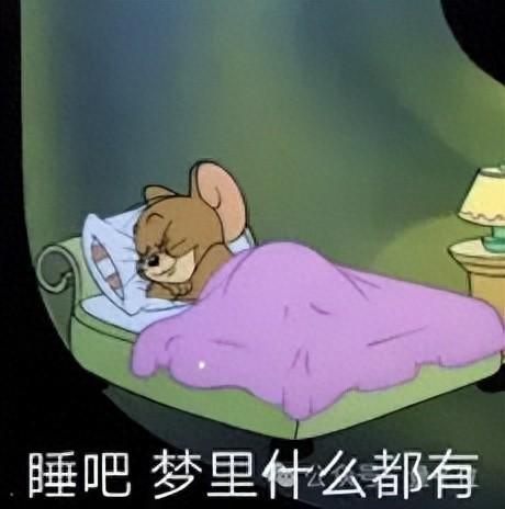 大脑存在内部“世界模型”，快速眼动睡眠期间就会运行